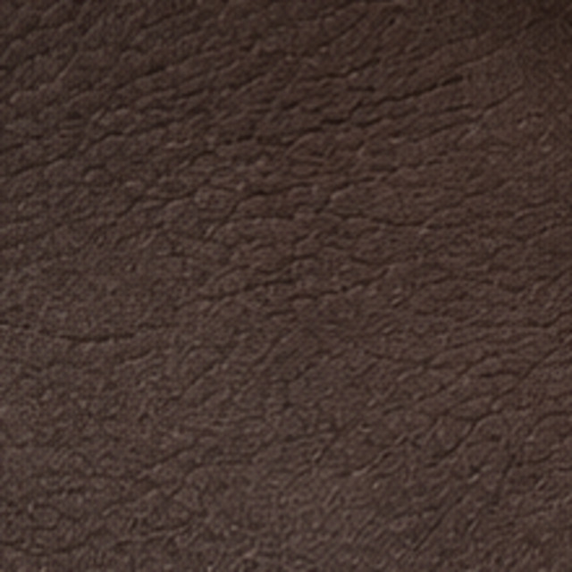 Textura do couro Café